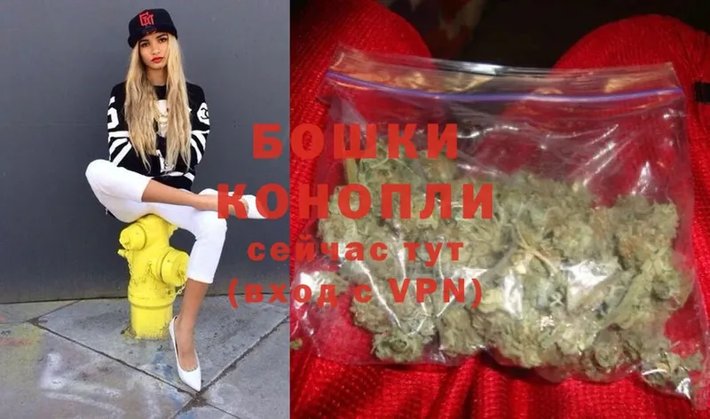 MEGA tor  Сычёвка  Шишки марихуана OG Kush  сколько стоит 